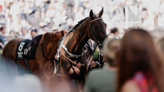 LOTTO Bayern Wiesn-Renntag